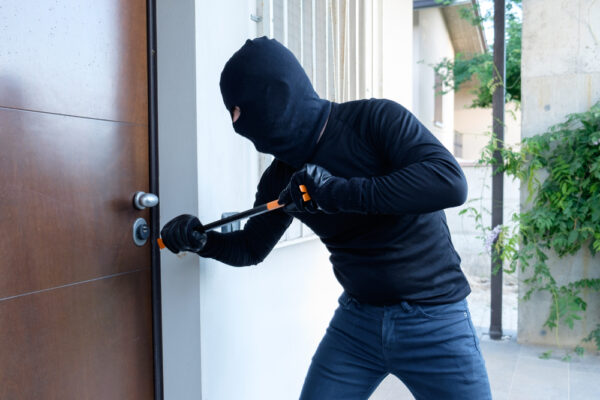 Steel Security Doors